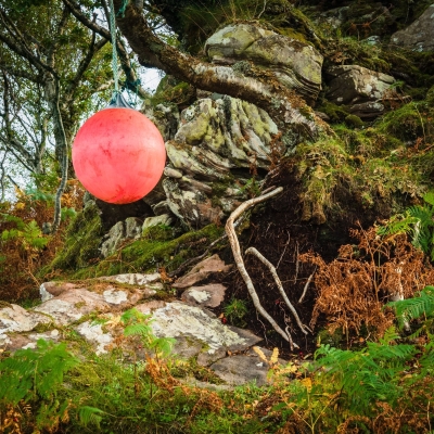 Buoy Hung Tree Beside Poll Domhain Applecross Scotland