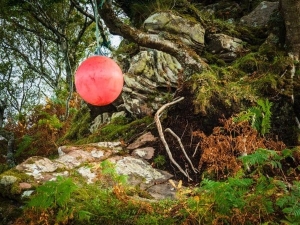 Buoy Hung Tree Beside Poll Domhain Applecross Scotland