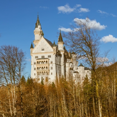 Neuschwanstein Castle From The South, Bavaria, Germany.